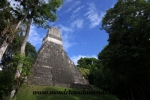Tikal (33).JPG