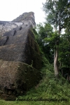 Tikal (37).JPG