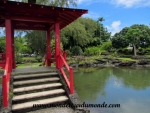 Hilo (8).JPG