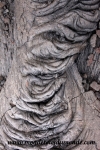 Volcanoes Park (48).JPG