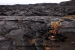 Volcanoes Park (62).JPG