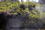 Volcanoes Park (8).JPG