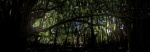 pano hilo 1.jpg