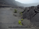 Volcanoes Park (284).JPG