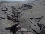 Volcanoes Park (286).JPG