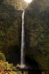 Hawai'i (132).JPG