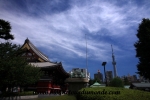 Tokyo (149).JPG