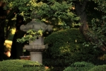Tokyo (173).JPG