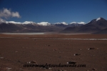 Atacama (141).JPG