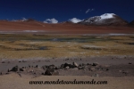 Atacama (146).JPG