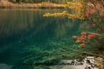 Jiuzhaigou (131).JPG