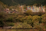 Jiuzhaigou (159).JPG