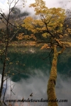 Jiuzhaigou (30).JPG