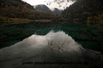 Jiuzhaigou (74).JPG