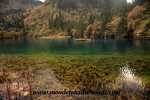 Jiuzhaigou (82).JPG