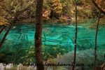 Jiuzhaigou (93).JPG