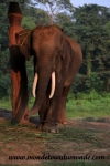Chitwan (1).JPG