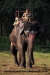 Chitwan (13).JPG