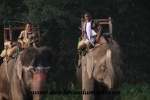 Chitwan (14).JPG
