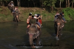 Chitwan (19).JPG