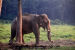 Chitwan (3).JPG