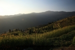 Langtang (1).JPG