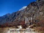 Langtang (177).JPG