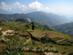 Langtang (31).JPG