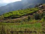 Langtang (33).JPG