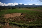 Pai (66).JPG