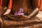 Chiang Mai (64).JPG