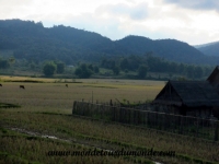 Phonsavanh (122).JPG