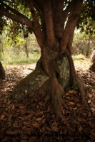 Phonsavanh (26).JPG