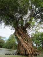 Kratie (60).JPG