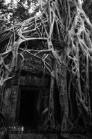 Siem Reap (137).JPG
