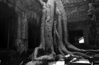 Siem Reap (157).JPG