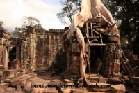 Siem Reap (178).JPG