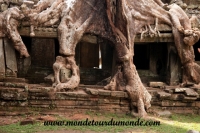 Siem Reap (186).JPG