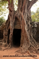 Siem Reap (201).JPG