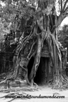Siem Reap (204).JPG