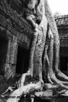 Siem Reap (215).JPG