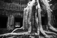 Siem Reap (218).JPG