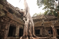 Siem Reap (223).JPG