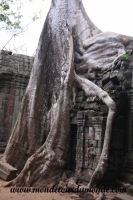 Siem Reap (236).JPG