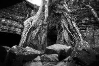 Siem Reap (241).JPG