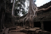 Siem Reap (254).JPG