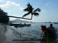 Koh Tao (37).jpg