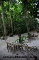 Koh Phi Phi (41).JPG