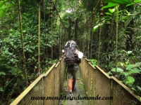 Taman Negara (4).JPG