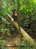 Taman Negara (58).JPG